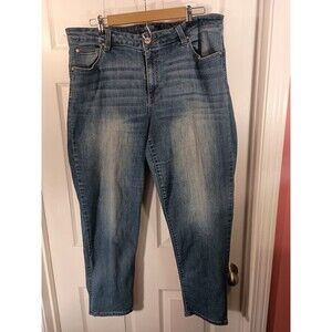 Revery Jeans Size 18W Blue Mid-Rise Girlfriend